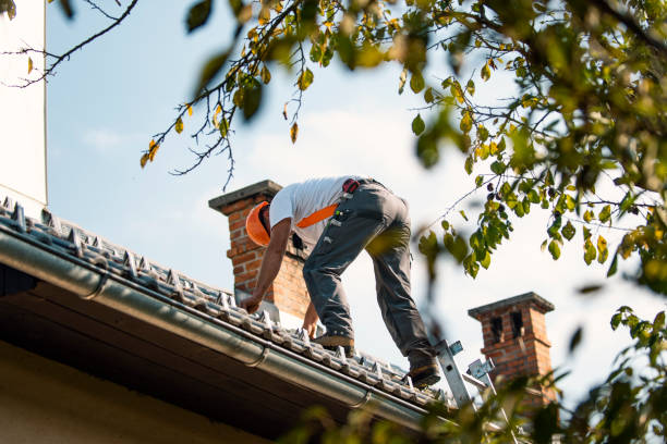 Best Roof Gutter Cleaning  in Eureka, IL