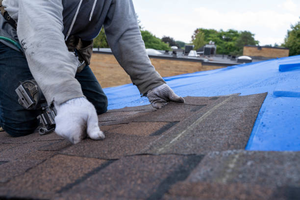 Best Flat Roof Repair Services  in Eureka, IL