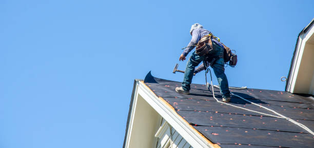 Best Roof Maintenance Services  in Eureka, IL